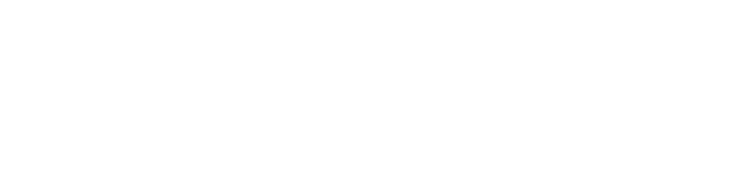 嚴謹專案管理